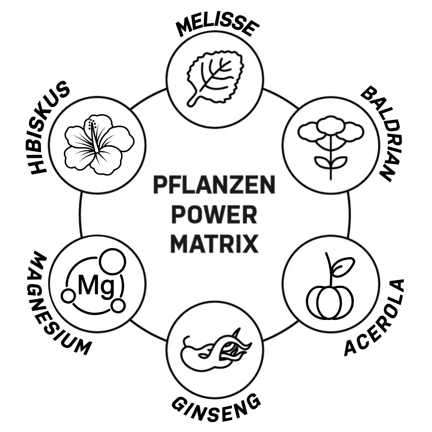 Infused recovery - Berry Vanilla - Image 3